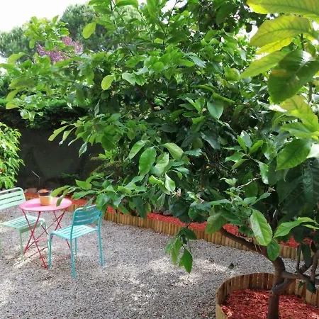 Beauvallon - Magnifique T2 Avec Jardin, Proche Centre, *